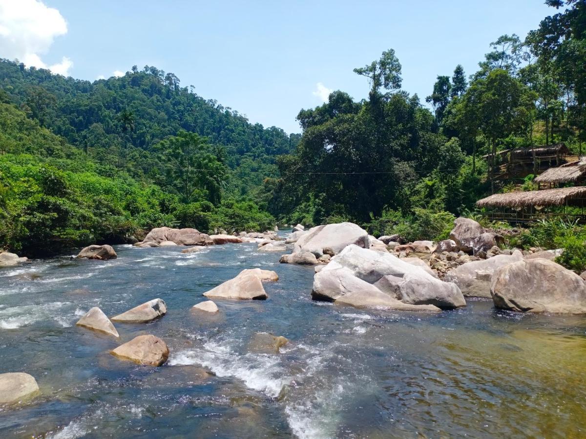 Gio Lao Eco Lodge - Dao Che Thanh Chuong Trai Do Exteriör bild